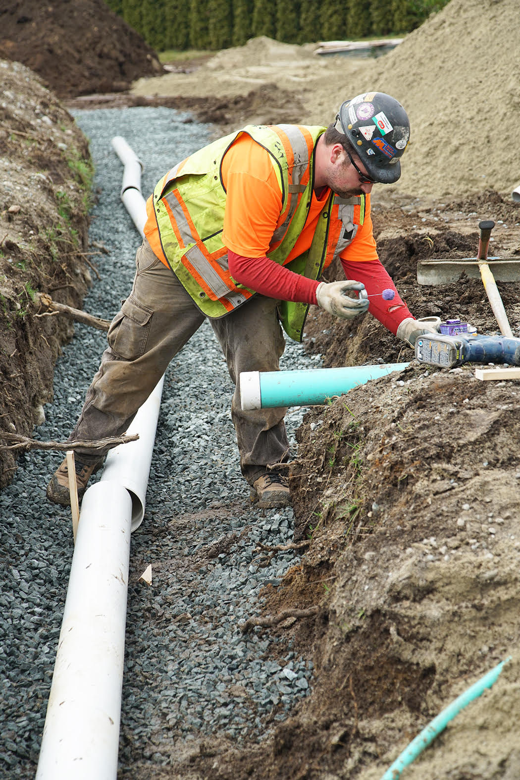 tree-cutting-permits-city-of-powell-river